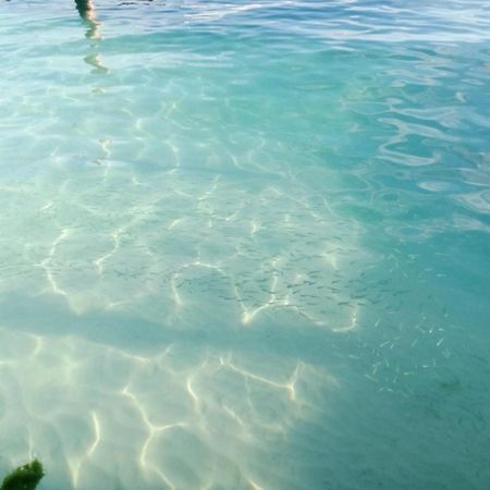 Hidden Island Glamping Isla Mujeres Ilha das Mulheres Exterior foto