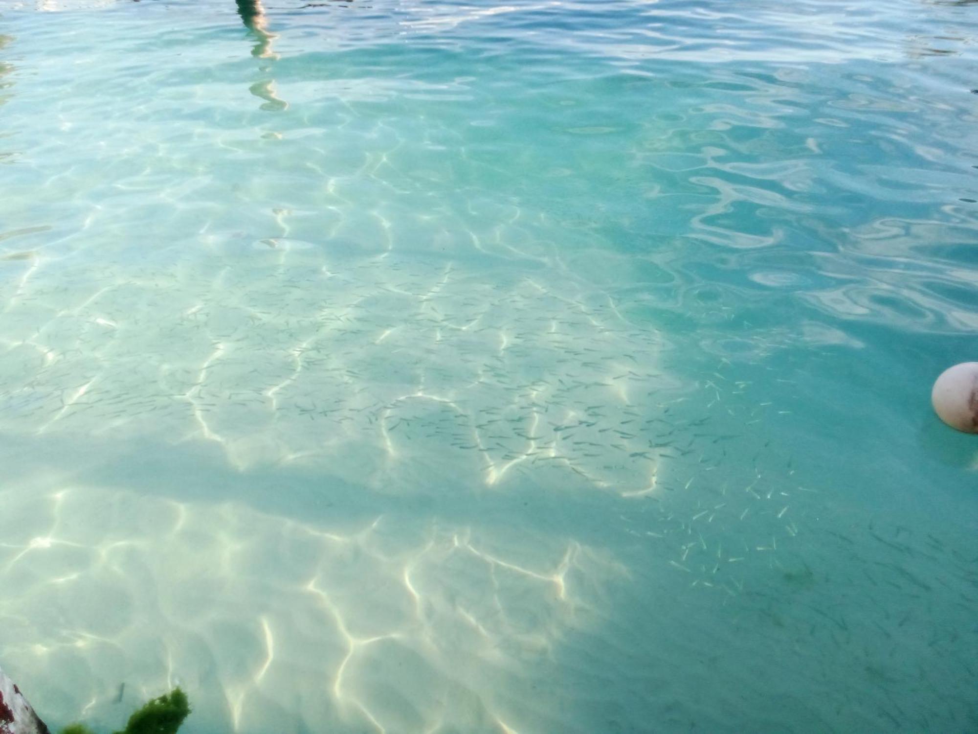 Hidden Island Glamping Isla Mujeres Ilha das Mulheres Exterior foto